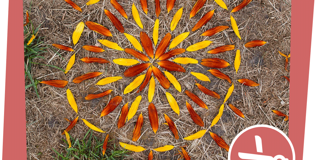 NAJU_Beitrag_Wiese_Sonstiges_Bänderschnecke_Landart_Pixabay_JanTemmel