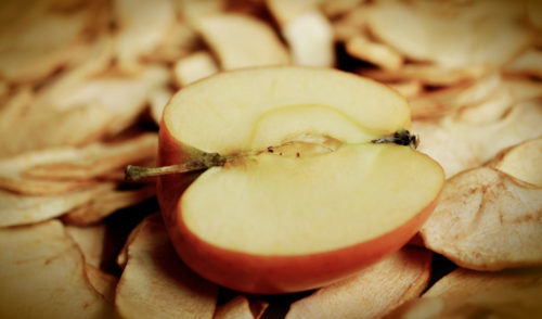 NAJU_Wiese_Pflanze _Apfelbaum_Experiment_Apfelschnitz_Pixabay Apfelschnitz