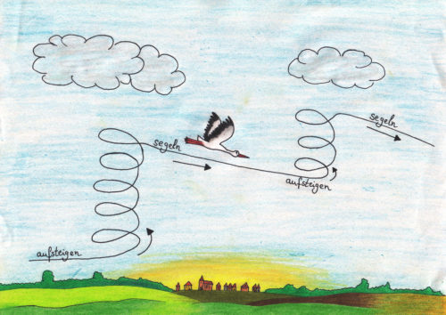 NAJU_Wiese_Vogel_Experiment_Thermik_Schruhl