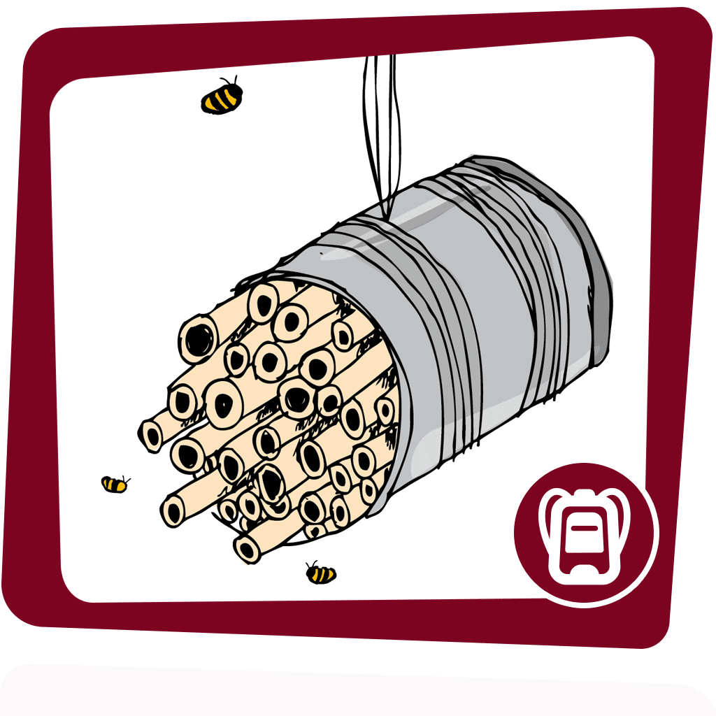 Baue eine Nisthilfe für Hohlraum-Bewohner. Hier gibt's die Anleitung.