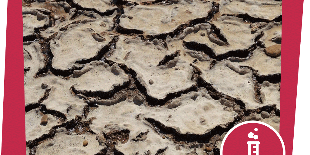 NAJUversum_Beitrag_Gebirge_Murmeltier_Experiment_Wasserfilter_Boden