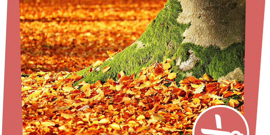 NAJUversum_Beitragsbild_Gebirge_Arnika_Bastelidee_Blattdruck_pixabay_rihaij