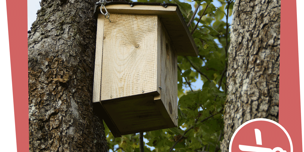 NAJUversum_Beitragsbild_Gebirge_Dohle_Bastelidee