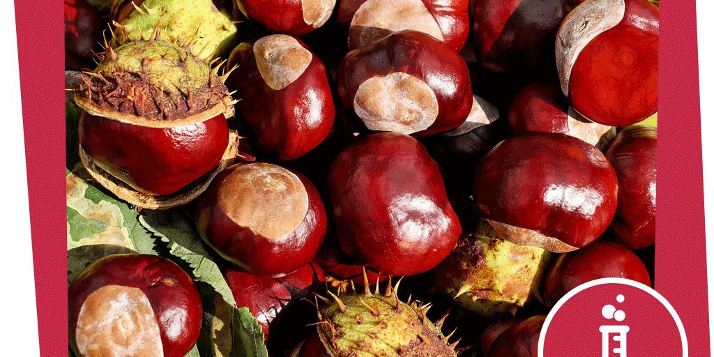 NAJUversum_Beitragsbild_Gebirge_Wolfsspinne_Experiment