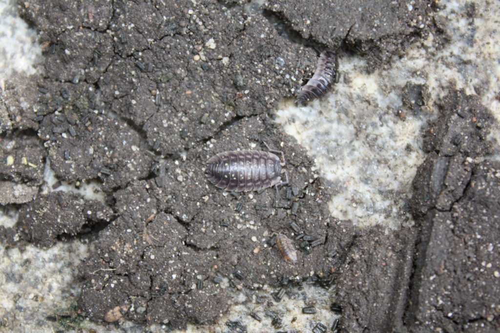 AsselLabor NAJUversum die neue für Kinder