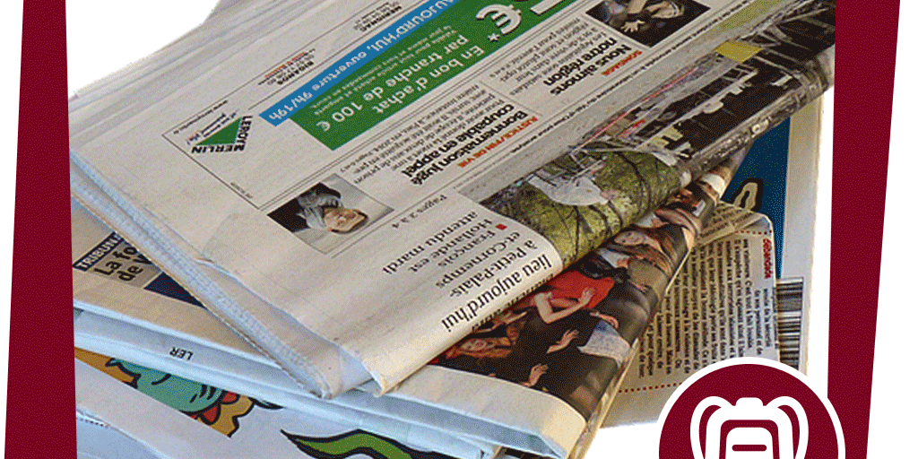 naju_Aktion_Beitrag_die-längste-Blindschleiche-der-Welt_Pixabay