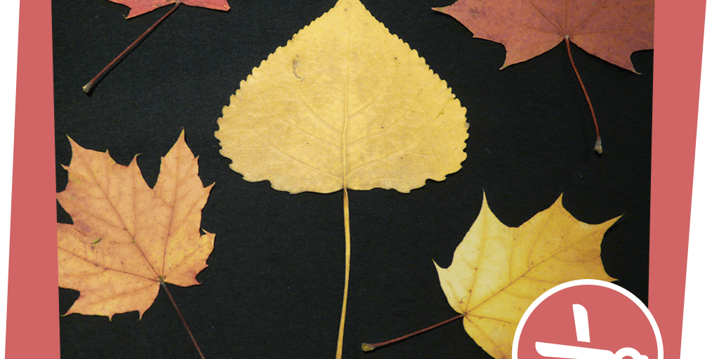 naju_Aktion_Beitragsbild_Wald_Nacht_Blattpresse