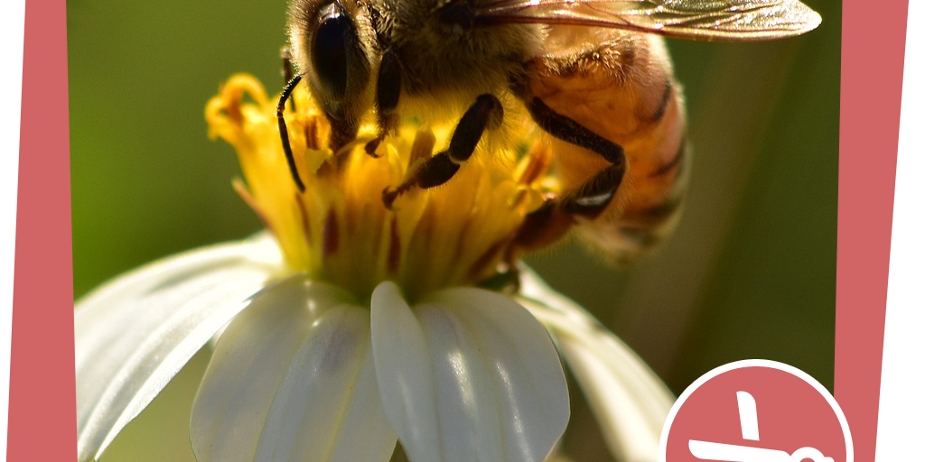 naju_Bastelidee_Beitrag_Brumm-Apparat_Pixabay