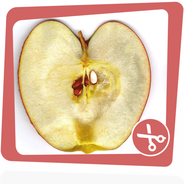 Apfelhaelfte