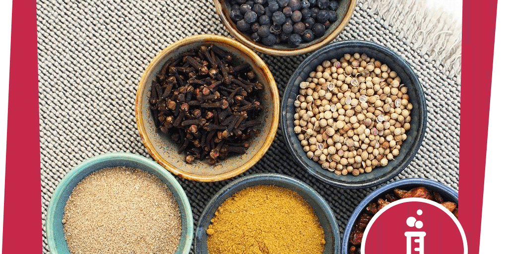 naju_Beitrag_Unterwasser_Gelbrandkäfer_Experiment_riechen