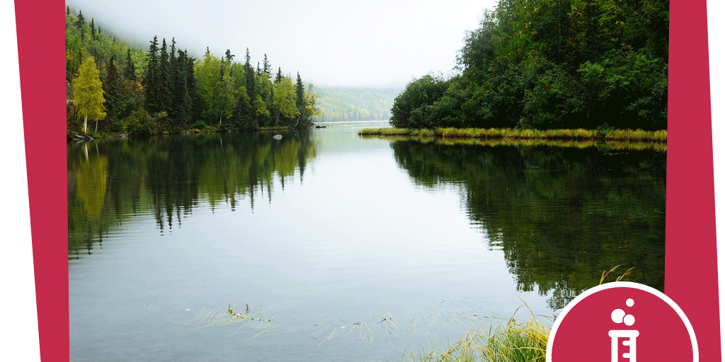 naju_Beitrag_Unterwasser_Pflanzen_Experiment_Müffeln_pixabay_Free-Photos