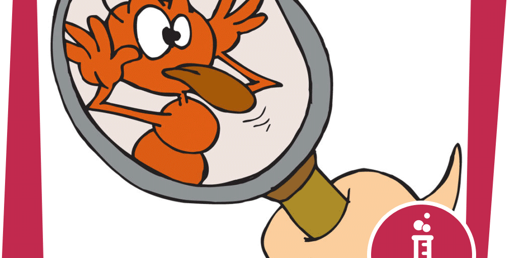 naju_Beitrag_Wald_Tag_Insekt_Ameise_unter_der_Lupe_Pixabay