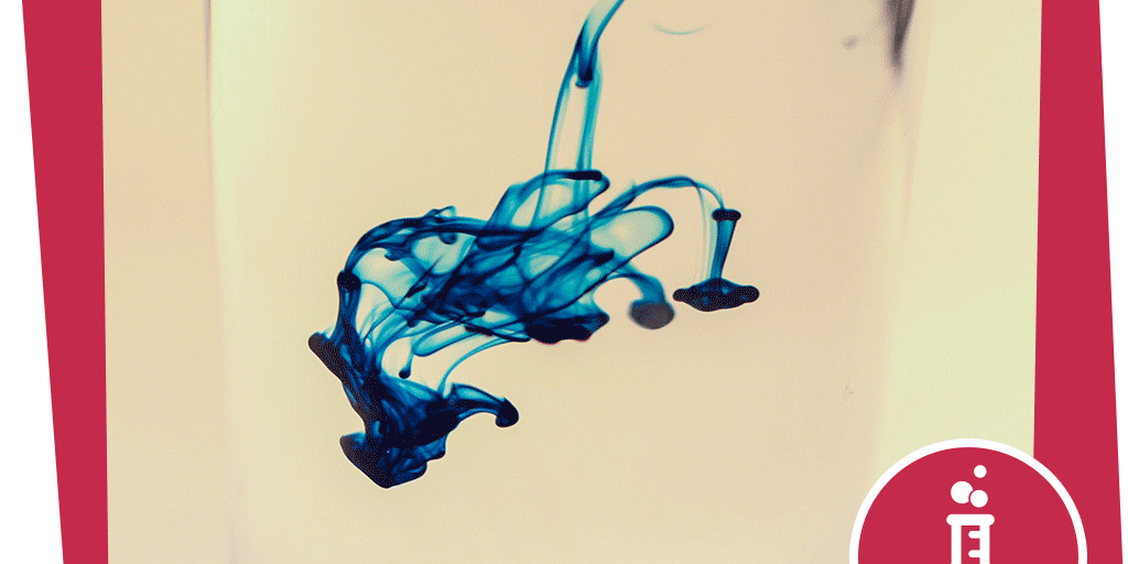 naju_Beitragsbild_Wald_Nacht_Insekt_Tinte