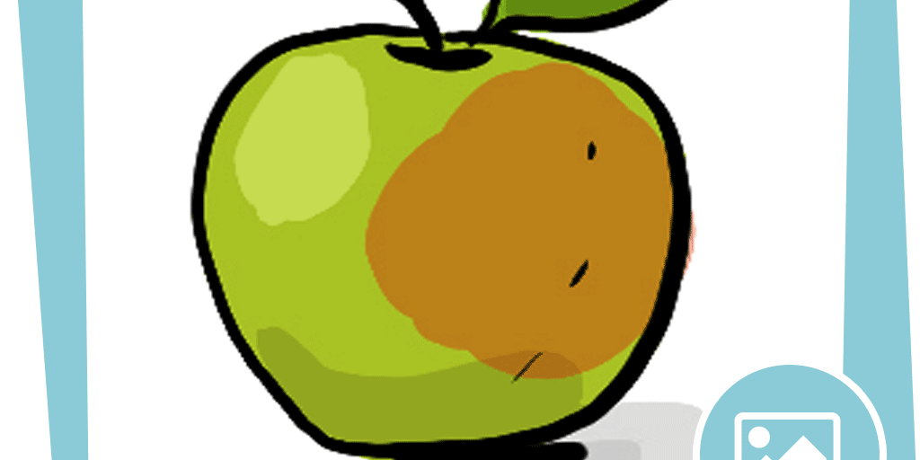 naju_Beitragsbilder_Saisonkalender