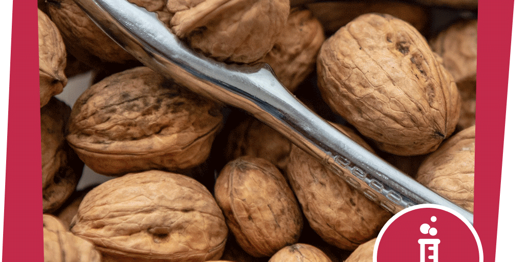 naju_beitrag_gebirge-Winter_Bartgeier_Experiment_Knochen-knacken_pixabay_marcelkessler